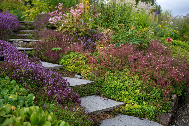 Bothagefastepunkter_08082016-foto Mari Karlstad_DSC5613 cropped.png